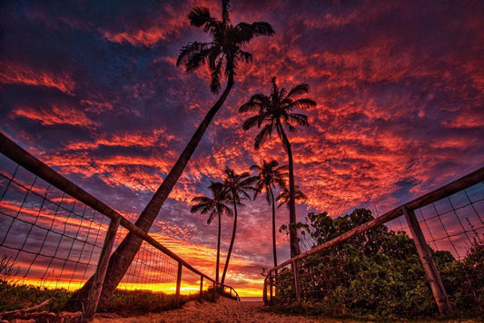 Beach Access Plexi Glass Wall Art - Ben Mulder Photography - V1 Tech