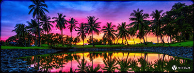 Fiji Sunrise Large Mouse Pad