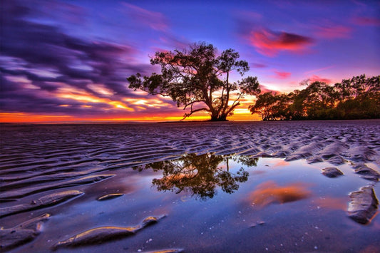 Purple Ripples Plexi Glass Wall Art - Ben Mulder Photography - V1Tech