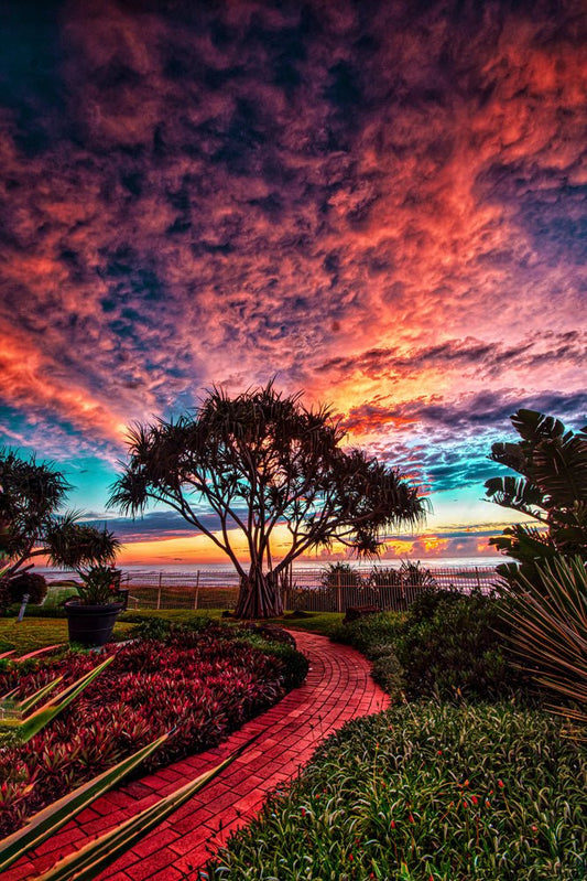 Red Path Plexi Glass Wall Art - Ben Mulder Photography - V1 Tech