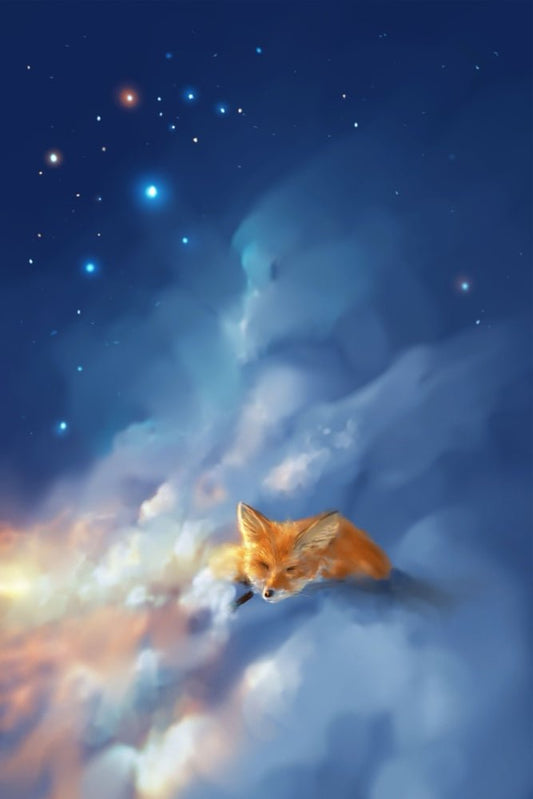 Vulpes Napping Plexi Glass Wall Art - Shooting Star Log Book - V1Tech